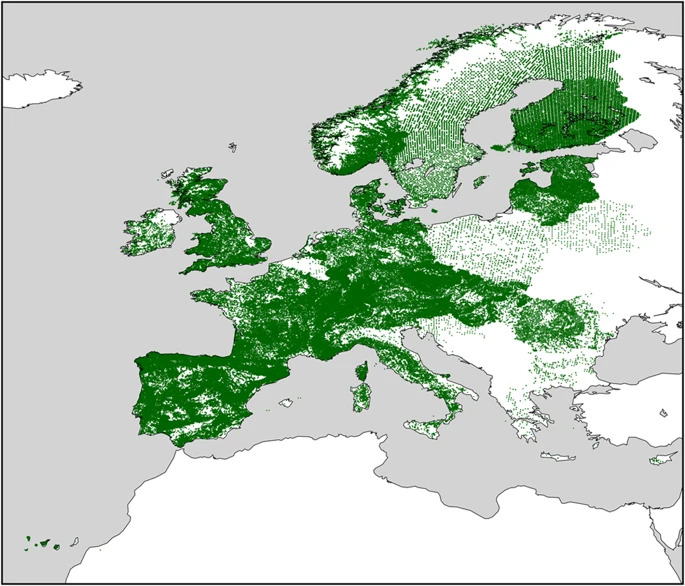 Spatial distribution of all occurrences in EU forest. Spatial distribution of all occurrences in EU forest.
